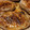 Mommyluvs2cook's cooksnap of when they made Pan Seared Pork Chops.
