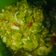 Cooksnap dari Anna27 untuk resep 30.Sambal Trancam Timun