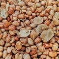 Cooksnap dari Texa untuk resep Kacang Bawang Renyah (kering tidak berminyak)