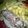 El cooksnap de Claudia Noelia Galarza cuando hizo Rollitos de ternera a la mostaza con papitas al pesto.