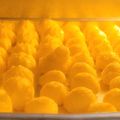 Cooksnap dari Diena Fitria Masrukin untuk resep Sus Kering Keju aka Cheese Crispy Choux renyah ngejuu