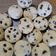 El cooksnap de Nany cocina fácil cuando hizo Galletas con trozos de chocolate.