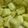 Bushra Mazhar's cooksnap of when they made Ginger & Garlic Paste.