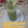 Rita Mehta ( Executive chef )'s cooksnap of when they made Cucumber juice🍹.