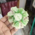 Cooksnap dari PeLangi Kasih untuk resep Bikang mawar anti gagal🥰tahan lembut seharian