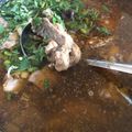 Cooksnap của Nguyễn Hoàng Yến khi họ làm theo món Mì quảng gà