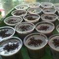 Cooksnap dari sofiulloh sofiyulloh untuk resep Puding Coklat