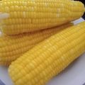 Cooksnap Q'leenalee's Kitchen semasa beliau membuat Jagung Rebus.