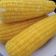 Cooksnap Q'leenalee's Kitchen semasa beliau membuat Jagung Rebus.