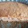 Cooksnap de Nasrine sur la recette Gâteau au yaourt pépites de chocolat+ poudre de chocolat