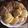 El cooksnap de Alizon Gonnet cuando hizo Galletitas de chocolate o vainilla sin gluten.