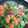 El cooksnap de Alexandra Mihoc cuando hizo Menestra de verduras variadas.