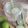 Cooksnap dari kurnia widhi untuk resep Wedang Seruni (herbal drink for cough and flu)