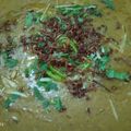 Urooj Qureshi's cooksnap of when they made Beef haleem.