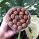 Cooksnap dari Kharisma Julieta untuk resep Coffee Bean Cookies