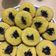 Cooksnap dari Kurnia Bayu Wulandari untuk resep Pukis