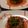 El cooksnap de carli cuando hizo Tartar de aguacate y salmón ahumado.