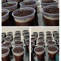 Cooksnap dari NdaaRizki untuk resep Puding nutrijell kribo susu coklat + my vla