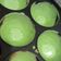 Cooksnap dari Siti Khoiriyah untuk resep Kue Ape