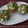 Kristina K's cooksnap of when they made Matcha Muffins with White Chocolate.