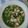 Cooksnap dari Pitri untuk resep Sawi hijau kuah bakso sapi