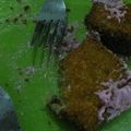 Cooksnap dari Winda untuk resep Nugget Pisang
