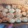 El cooksnap de paola robles cuando hizo Tarteletas saladas.