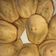 Cooksnap de Sarah sur la recette Madeleines légères et moelleuses sans beurre