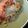 swimstar318's cooksnap of when they made Tomato Tuna Melts.