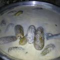 صورة من زوجي سر سعادتي 😍ام عمر، شاركها بعد تجربة وصفة كوسا بلبن