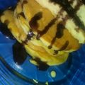 Cooksnap dari Lutfia Nur untuk resep Souffle Pancake (Fluffy Shiawase Pancake)