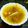 Dipa Bhattacharyya's cooksnap of when they made কাঁচা আম দিয়ে মাছের ডিমের টক.