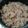 El cooksnap de Dora Lacarrubba Flores cuando hizo Arroz encebollado con panceta y champiñones.
