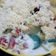 Cooksnap dari Vien Zaa untuk resep Salad buah endeuus no mayo