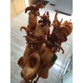 Cooksnap dari Melyani Filtania untuk resep Sate cumi barbeque