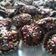 Cooksnap dari Keenantea untuk resep Choco Corn Flakes