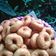 Cooksnap dari Okta Sabryna Kumala untuk resep Donat Telo