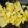 Cooksnap dari Bunda Desi untuk resep Scrambeled egg mcd 100% autentic