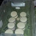 El cooksnap de Dai Retamal cuando hizo Alfajores de Maicena.