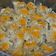 Cooksnap dari adelianandac untuk resep Dimsum Ayam Wortel