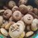 Сooksnap від Daryna, який(а) приготував(ла) Очень вкусное и быстрое печенье.