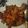 Cooksnap dari Cooklover untuk resep Very simple ayam blackpepper/ayam tumis/ayam lada