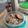El cooksnap de Jaki Campos cuando hizo Galletitas de avena y chips de chocolate express.