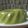 Cooksnap dari Wenny Yudi, S.Psi, MM. untuk resep Puding Lumut Vla Keju