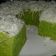 Cooksnap dari Christina Santii untuk resep Brownies Kukus Pandan