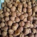 Cooksnap dari Effendi Fendi untuk resep Cococrunch cookies