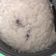 Cooksnap dari Yemima ellina untuk resep Bubur Ayam Magic com