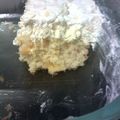 Jonci's Mom's cooksnap of when they made Fuzzy Navel Cake.