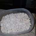 anitra.patterson.1's cooksnap of when they made Puppy Chow.