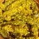 Seema Gupta का कुकस्नैप जब उन्होंने हरी मिर्च का आचार (hari mirch ka achar recipe in hindi) बनाया था।
